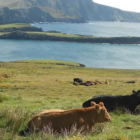 Glor Na Farriage Holiday Homes